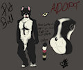 PitBull Adopt