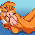 Nic's Paws