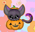 Lil Bella on a pumpkin