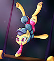 Trapeze Star