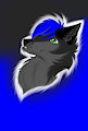 [free gift Art] Raily DarkHusky by Wolfi87