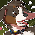 Fetch!