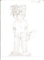Roni Undies (Sketch)