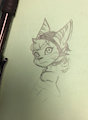 Lombax by EvolutionFreak