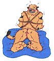 Trey the Kat: Kat-Napped