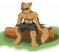 Bad Ass Kiba 2 by Zfurry by KibaSWolf