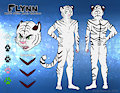 Flynn Ref Sheet