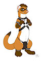 Axle Furret by: Moody Ferret by AxleFurret