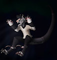 Claws from Above