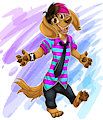 Alex the Dachshund