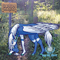 Horses Prohibited