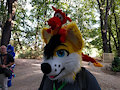 aaahhh. its in my hair by rajak