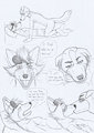 Foxy x Doug