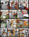 New Friends? by Chucky