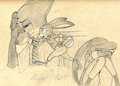 Wish that you were here by Tush