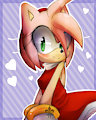 Amy Rose by Bluukio