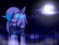 .:stela:. by XrikusonicshadowX