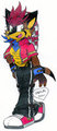 Vee-Jay Hedgehog - Star Fleet by DangerousRadical