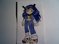 Female Human Boom Sonic