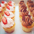 Mini Cupcake Army
