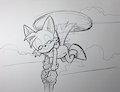 he fly by poyopop