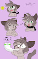 Brownest of Cats