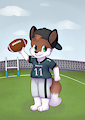 [C] Football - Chris