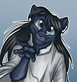 *Q*_Samourin by Fuf