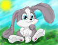 Bunny