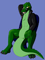 $15 pic for RollerCoasterViper59