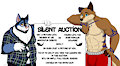 Silent Auction Art from VF2016 by Ceowolf