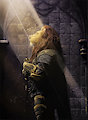 Lion Paladin Color Test by Dbruin