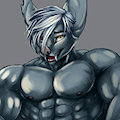 Muscular bat