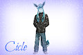 Cicle by Safuran