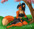 Relaxing Under The Cherry Blossum Tree