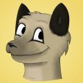 Hello, I'm a Meerkat! 