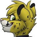 I has a fox, by Supi