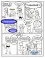 SONIC BABY 15