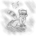 racoon thingie