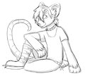 100 Weasyl Followers Prize