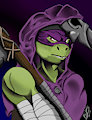 Spirit Donatello