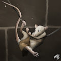Rat Problems