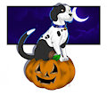 Jess' Pumpkin