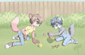 Play Ground