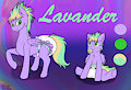 Lavander Ref Sheet