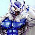 Sova_13 by bleakcat