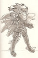 Solatorobo Beluga Damiens