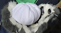 Dumpling Prop For Sale