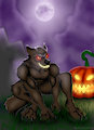 Wolf under a full Moon