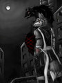 The Dark Night by Fenrirwolfen